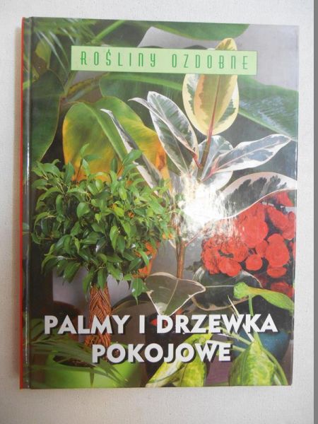 Palmy i drzewka pokojowe
