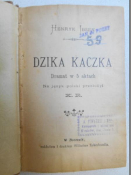 Dzika kaczka,1949 r.