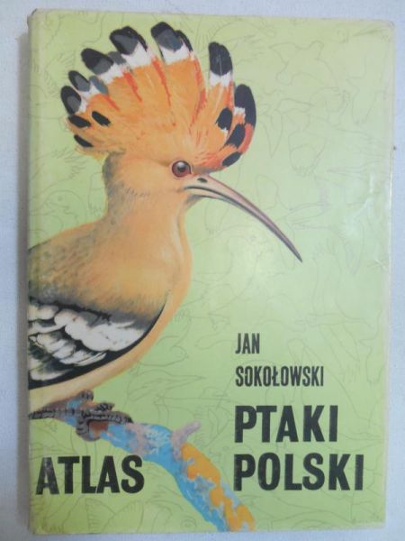 Ptaki Polski