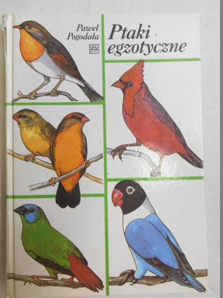 Ptaki egzotyczne