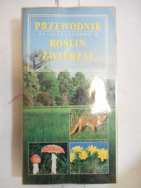 Przewodnik do rozpoznawania roślin i zwierząt na wycieczce