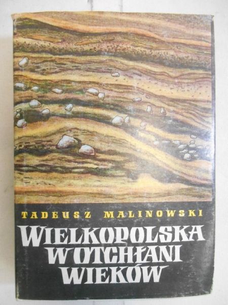 Wielkopolska w otchłani wieków