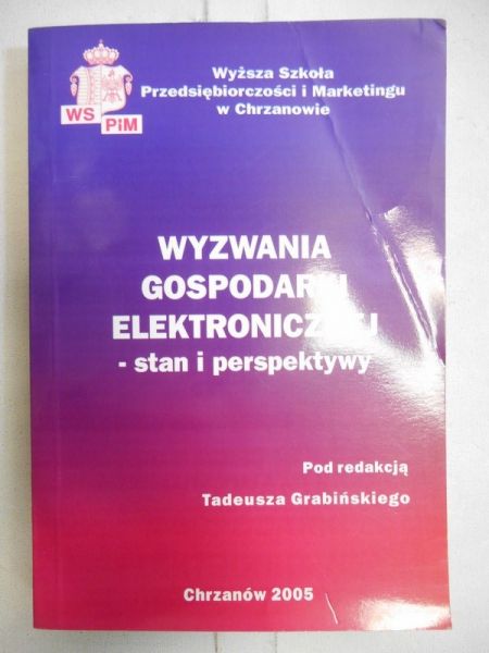Wyzwania gospodarki elektronicznej