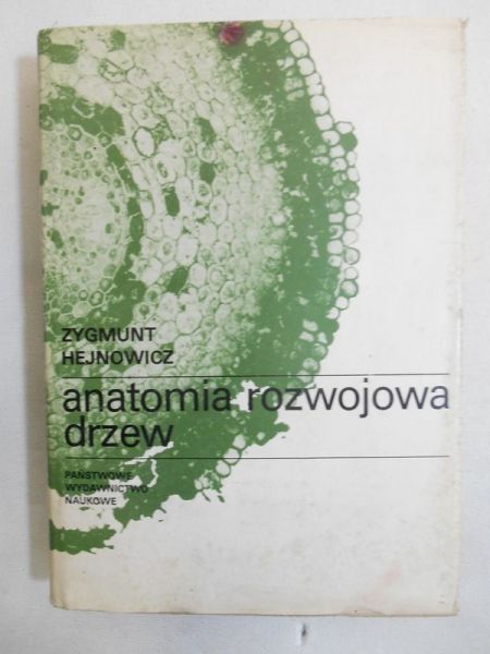 Anatomia rozwojowa drzew