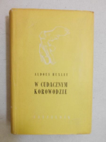 W cudacznym korowodzie