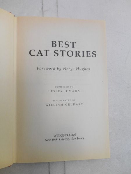Best Cat Stories