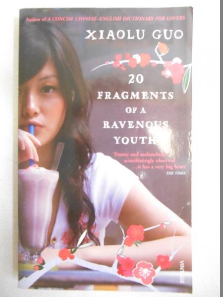 20 Fragments of a Ravenous Youth
