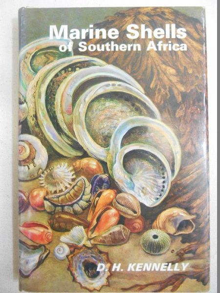 Marine Shells of Southern Africa