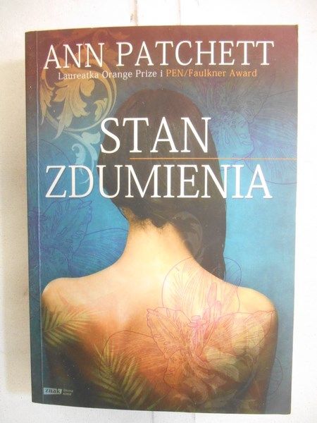 Stan zdumienia
