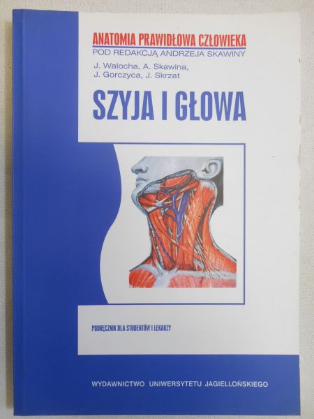 Szyja i głowa
