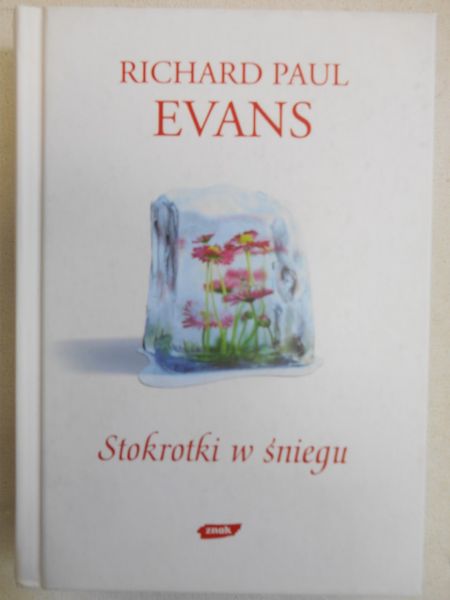 Stokrotki w śniegu