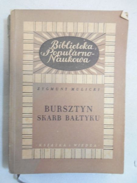 Bursztyn. Skarb Bałtyku