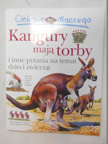 Ciekawe dlaczego kangury mają torby?