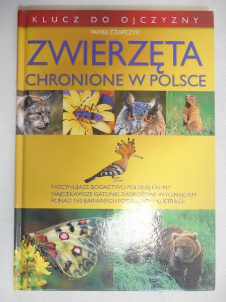 Zwierzęta chronione w Polsce