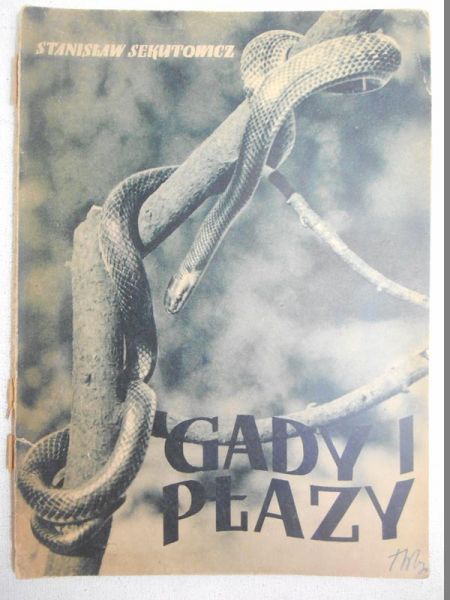 Gady i płazy, 1938 r.