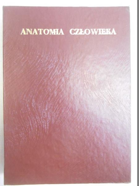 Anatomia i fizjologia człowieka