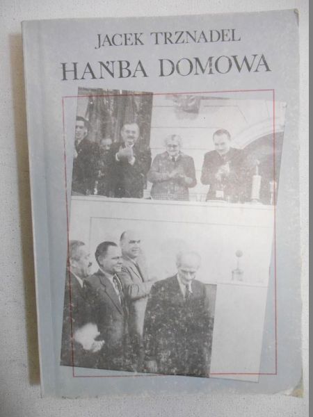 Hańba domowa