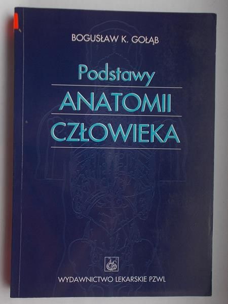 Podstawy anatomii człowieka