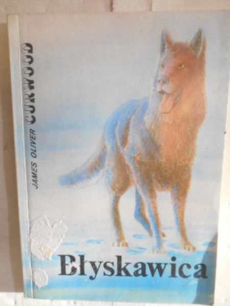 Curwood James Oliver - Błyskawica