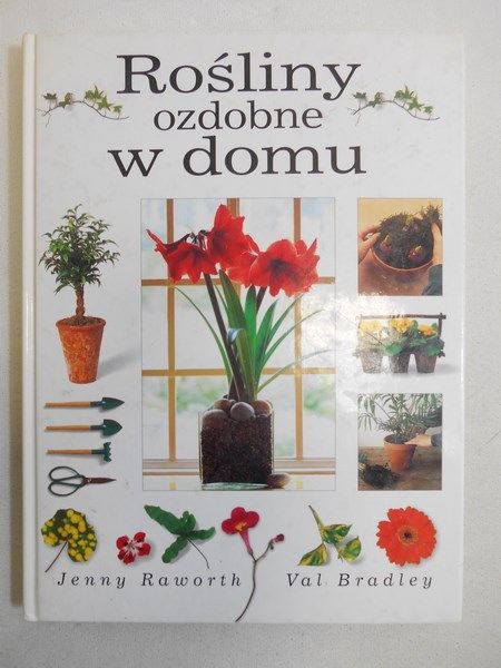 Rośliny ozdobne w domu