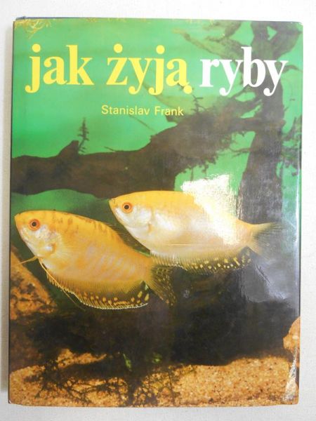 Jak żyją ryby