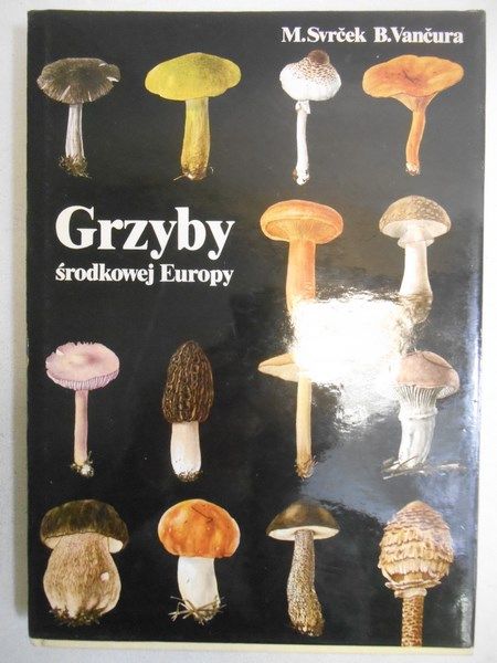 Grzyby środkowej Europy