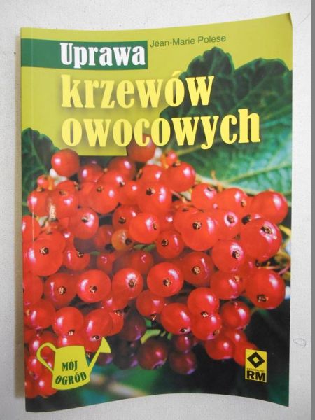 Uprawa krzewów owocowych