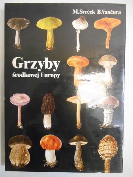 Grzyby środkowej Europy