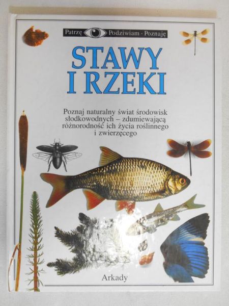 Stawy i rzeki