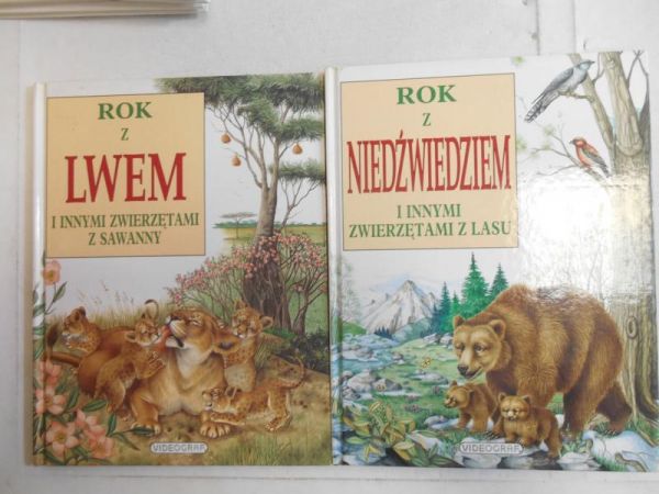 Rok z lwem/Rok z niedźwiedziem