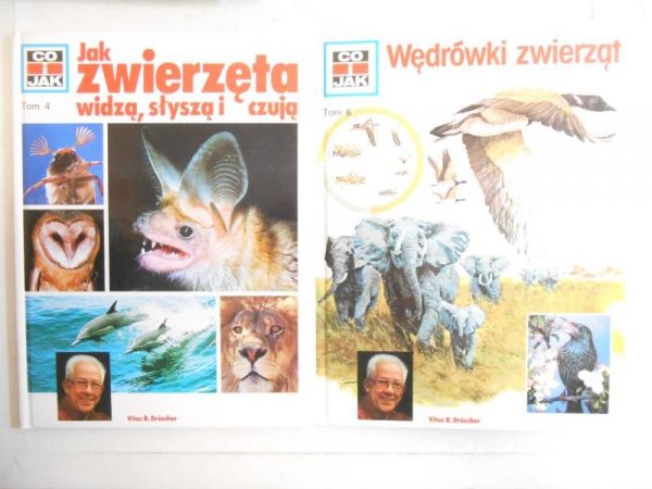 Wędrówki zwierząt/ Jak zwierzęta widzą, słyszą, czują