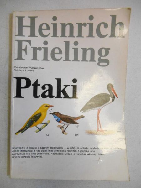 Ptaki
