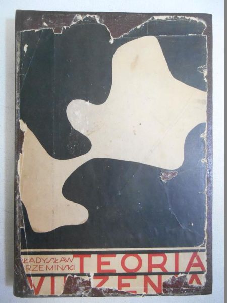 Teoria widzenia
