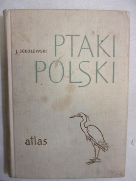 Ptaki Polski