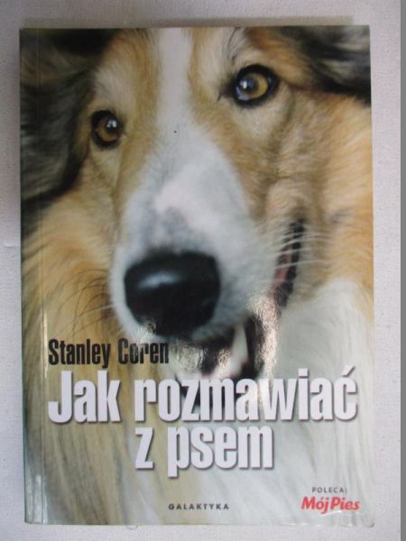 Jak rozmawiać z psem