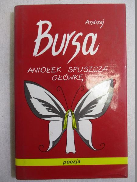 Bursa Andrzej - Aniołek spuszcza główkę