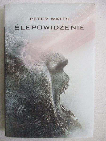 Ślepowidzenie
