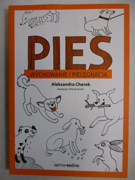 Pies Wychowanie i pielęgnacja