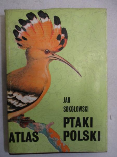 Ptaki Polski