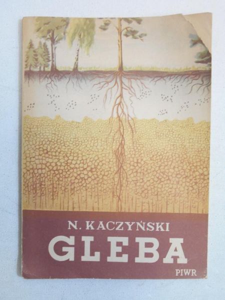 Gleba