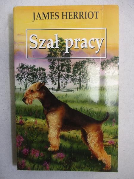 Szał pracy
