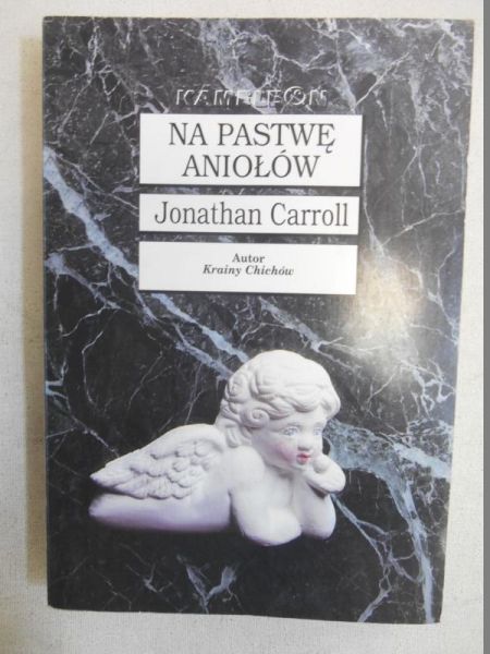 Na pastwę aniołów