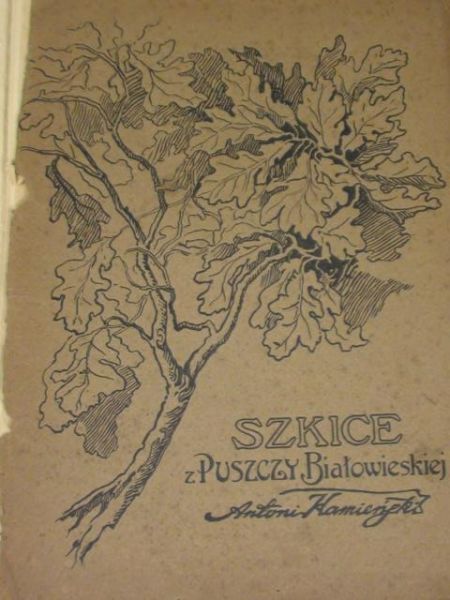 Kamiński Antoni,   - Szkice z Puszczy Białowieskiej 1912 r.