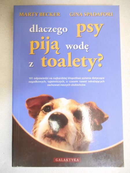 Dlaczego psy piją wodę z toalety?