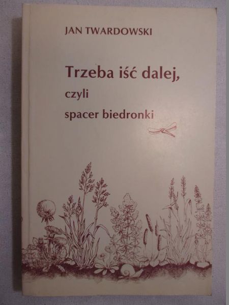 Trzeba iść dalej, czyli spacer biedronki