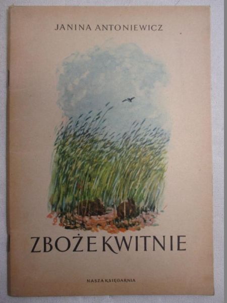 Zboże kwitnie