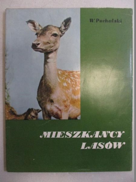 Mieszkańcy lasu