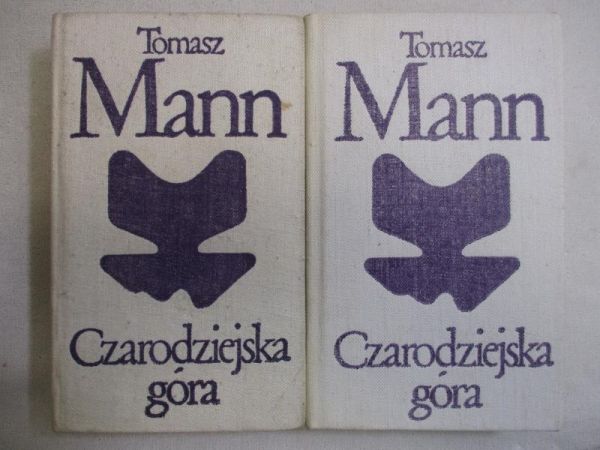 Czarodziejska góra T. I-II