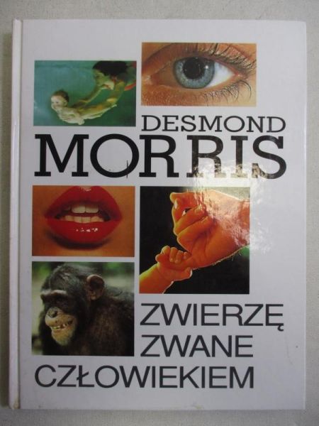 Zwierzę zwane człowiekiem