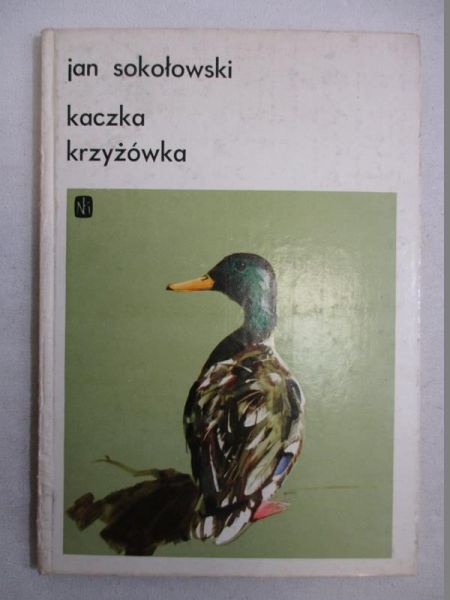 Kaczka krzyżówka